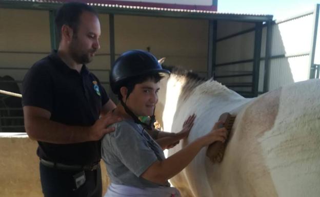 Sesiones de terapia ecuestre en Talarrubias