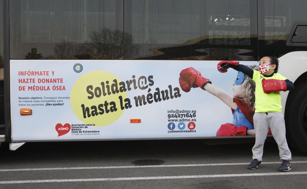 Entre cinco y ocho pacientes se trasplantan anualmente de médula ósea en Extremadura
