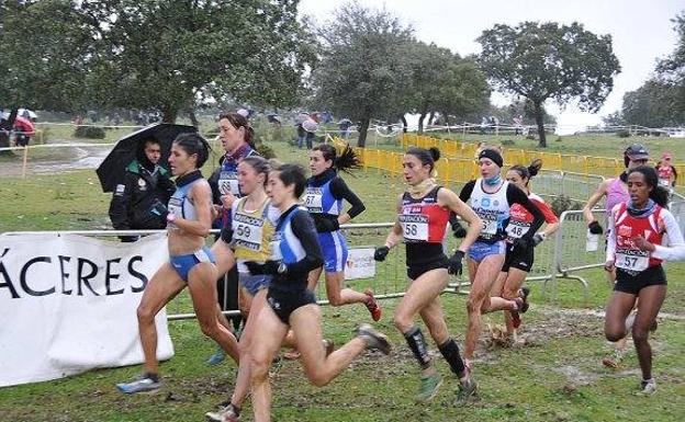 Talayuela, sede del Campeonato de Extremadura de Campo a Través