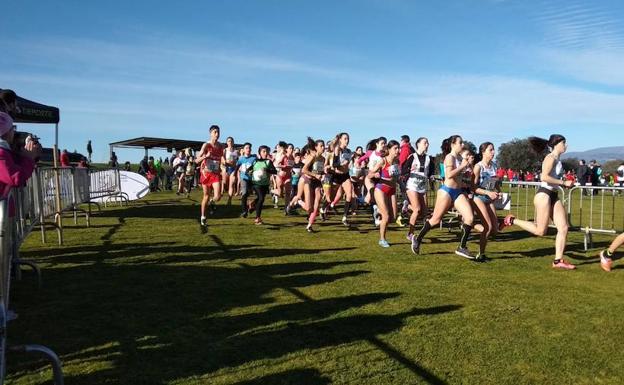 Talayuela acoge hoy el Campeonato de Extremadura de Campo a Través