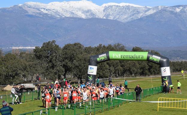 Unos 700 atletas participan en el Campeonato de Extremadura de Campo a través en Talayuela