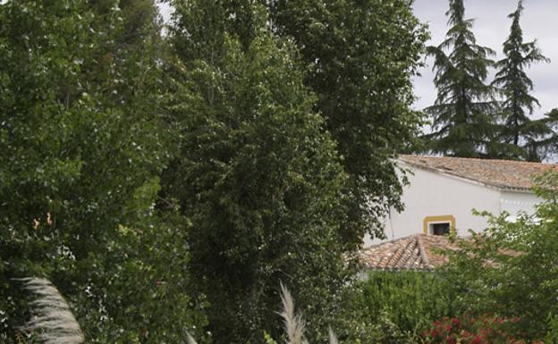 Muere una niña de 3 años tras ser atropellada en una finca de Peraleda de la Mata
