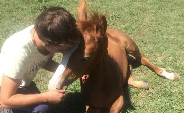 «Si tenemos un caballo con malos cascos, nunca podrá estar al 100% de su rendimiento»