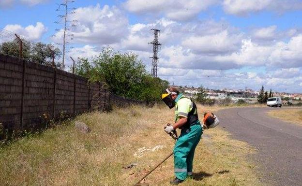 El Ayuntamiento emite un bando instando a limpiar los solares sin edificar