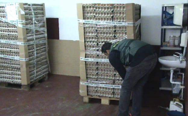 Un detenido y tres investigados en Pasarón de la Vera por los falsos huevos ecológicos