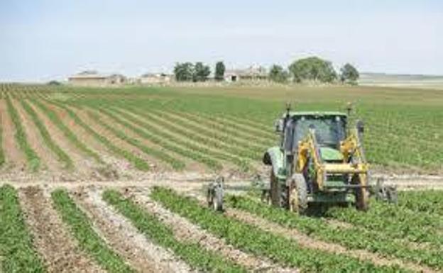 Los Agricultores extremeños han recibido ya 529 millones a cargo del Feaga del ejercicio 2019