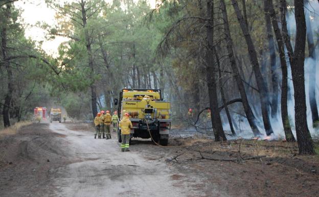SGTEX vuelve a quejarse por el avituallamiento de los bomberos forestales