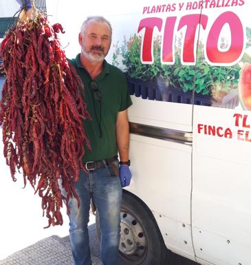 «Existen alternativas al cultivo de tabaco»