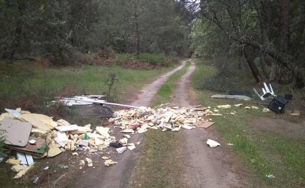 El presunto autor de vertidos en el Pinar tendrá una sanción de entre 9.000 y 300.000 euros