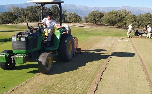 El campo de golf de Talayuela realiza el pinchado de greenes