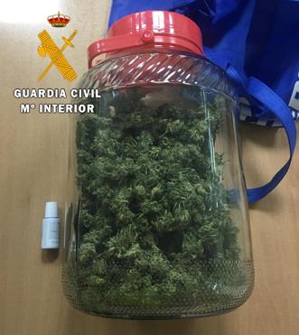Agentes de la Guardia Civil de Talayuela detienen a un joven con 240 gramos de marihuana