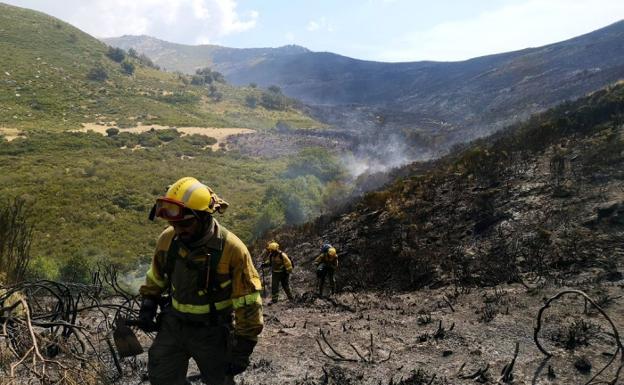 Agricultura elabora el plan de restauración forestal tras los incendios en La Vera y el Jerte