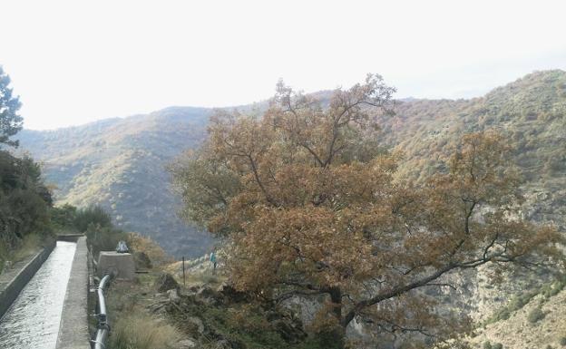 Ecologistas piden el cierre de la central hidroeléctrica de la garganta de Cuartos por su impacto ambiental