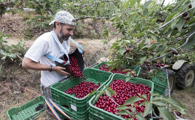 278 jóvenes agricultores reciben ayudas para crear empresas