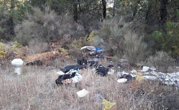 El proyecto Libera apoyará una acción de conservación en el Pinar de Talayuela