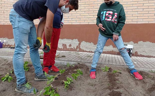 El Gonzalo Encabo se suma al programa Tierra Sana y Huerto Ecológicos
