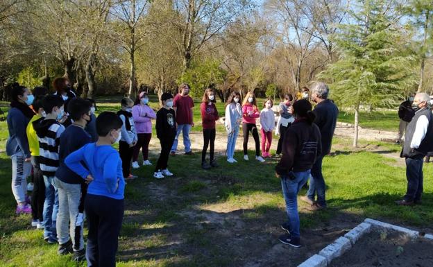 Los ayuntamientos de Tiétar y Rosalejo colaboran en el proyecto 'Plantea Verde'