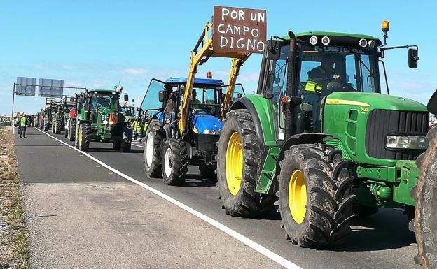 Las organizaciones agrarias y las cooperativas extremeñas se plantan, «No permitiremos que el sector del tabaco muera callado»