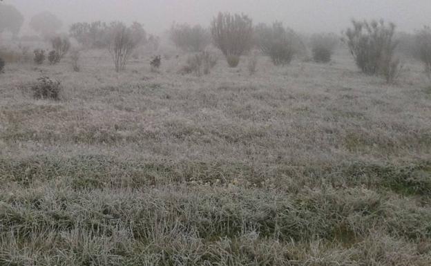 El 112 de Extremadura activa la alerta amarilla esta madrugada por mínimas de entre -6 y -4 grados
