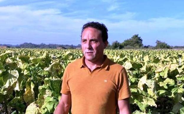 «Sin tabaco desaparecerían muchos pueblos de La Vera», dice el alcalde de Aldeanueva, Francisco Javier García