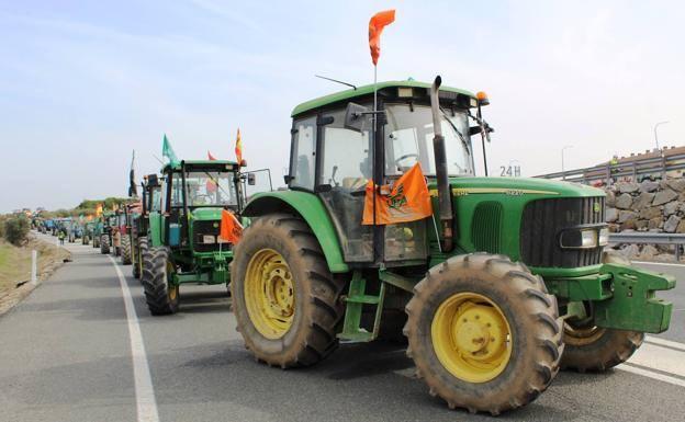 El sector tabaquero se reunirá el jueves con el Ministro de Agricultura para reclamarle que defienda el cultivo