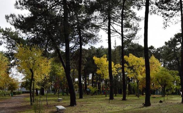 El Ayuntamiento de Talayuela abrirá esta semana los parques