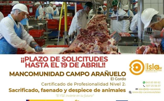Abierto hasta el 19 de abril el plazo de selección para el curso de Sacrificio, faenado y despiece de animales