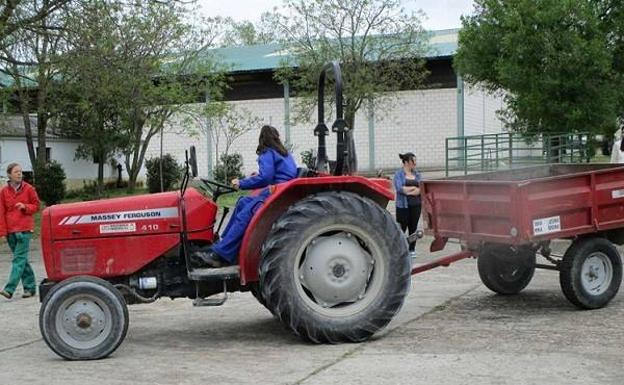 Agricultura publica en el DOE notificaciones de solicitudes correspondientes a la calificación de agricultores y agricultoras a título principal
