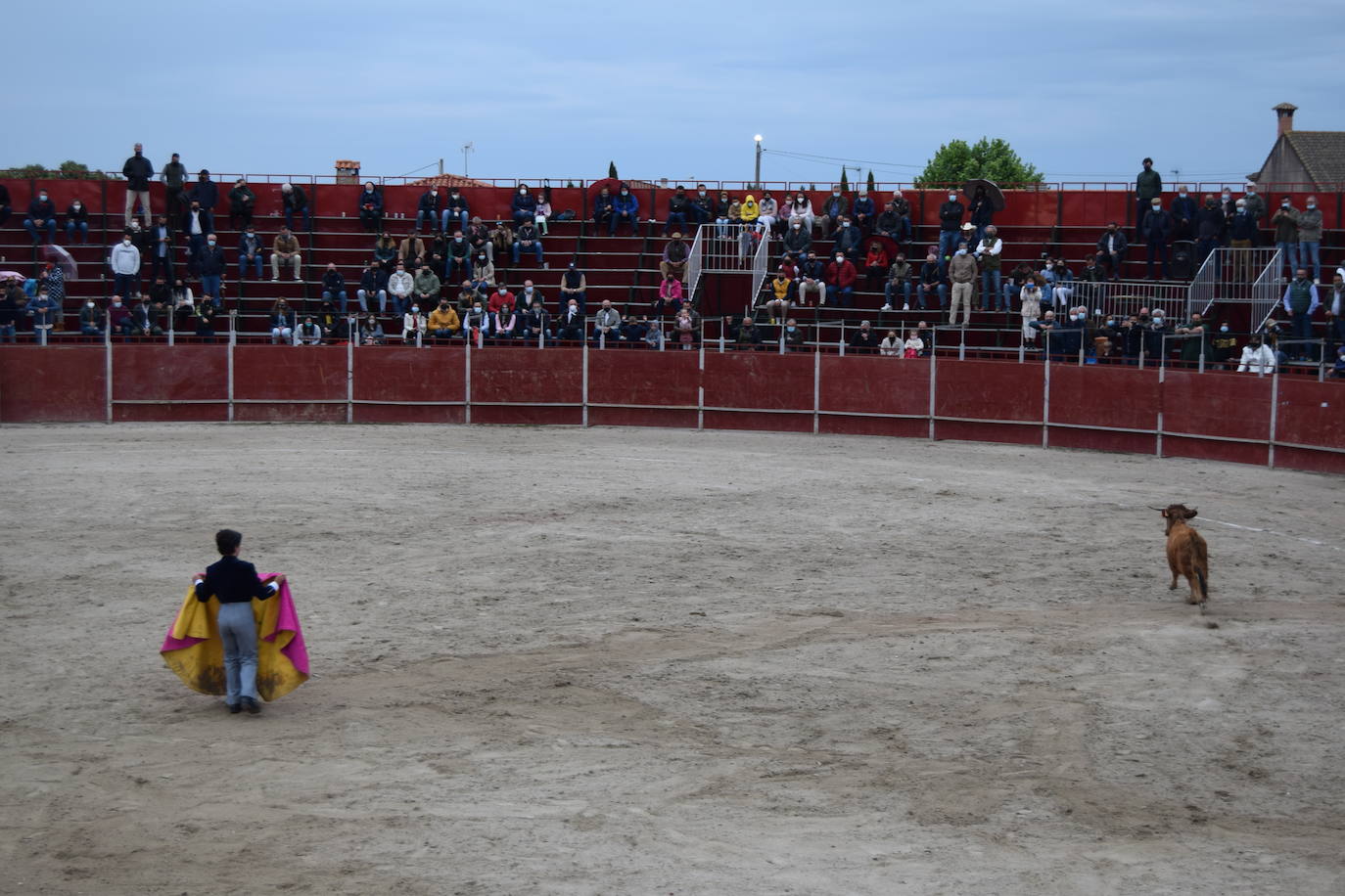 Festival Taurino San Marcos 2021