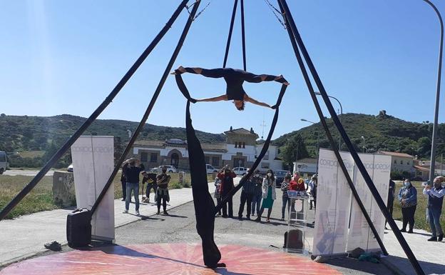 Vuelve el circo