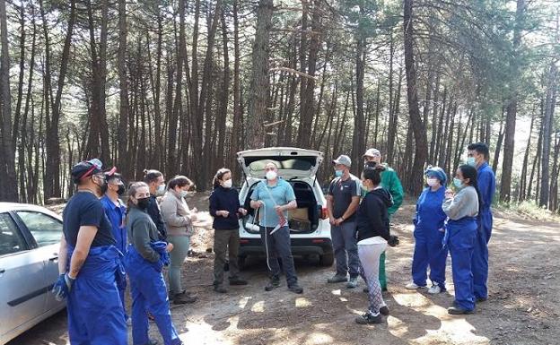 Agricultura forma a jóvenes de Talayuela en la profesión de resinero
