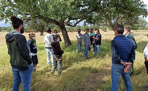 El Centro de Formación del Medio Rural de Navalmoral de la Mata capacita a jóvenes en prácticas de ganadería regenerativa y pastoreo dirigido