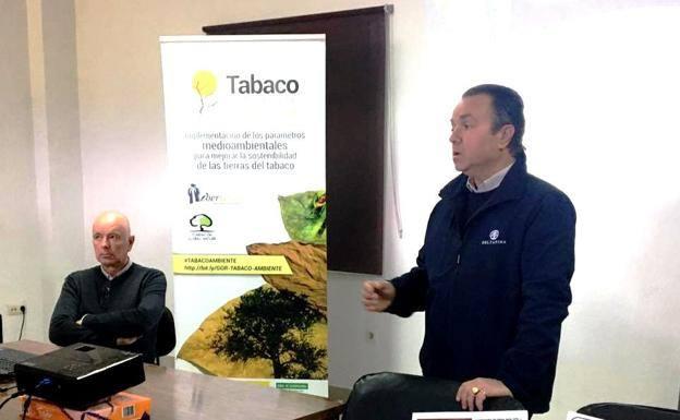«La única alternativa al tabaco, es el tabaco», dice Igino Pagliacci