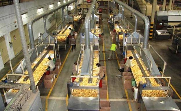 Cetarsa sube esta campaña un 0,19% el precio medio comercial del tabaco