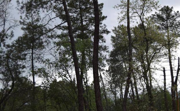 Un Curso para poner en valor el parque Natural y la historia de nuestro entorno