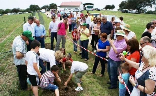 Majadas de Tiétar vuelve a celebrar la Fiesta de la Encina