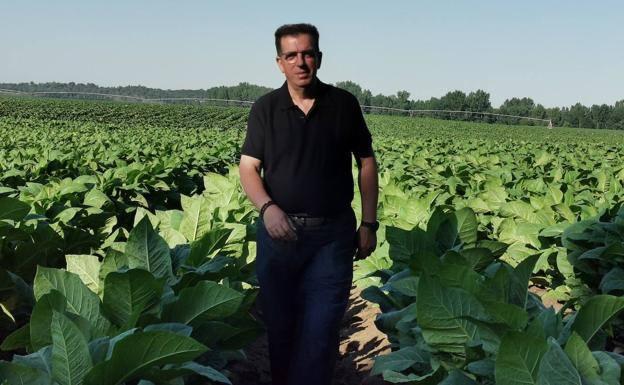 «El tabaco es un cultivo sostenible que conserva el suelo», afirma José García de Paredes