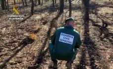 La Guardia Civil investiga al supuesto responsable de ocho incendios forestales en Talayuela