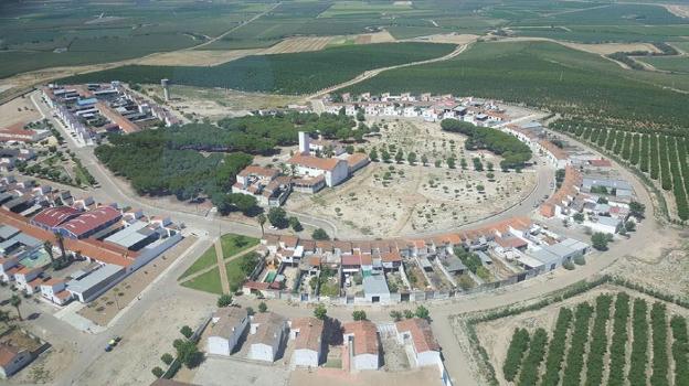 Incautan 2.000 plantas de marihuana en una operación antidroga en la zona de Miajadas