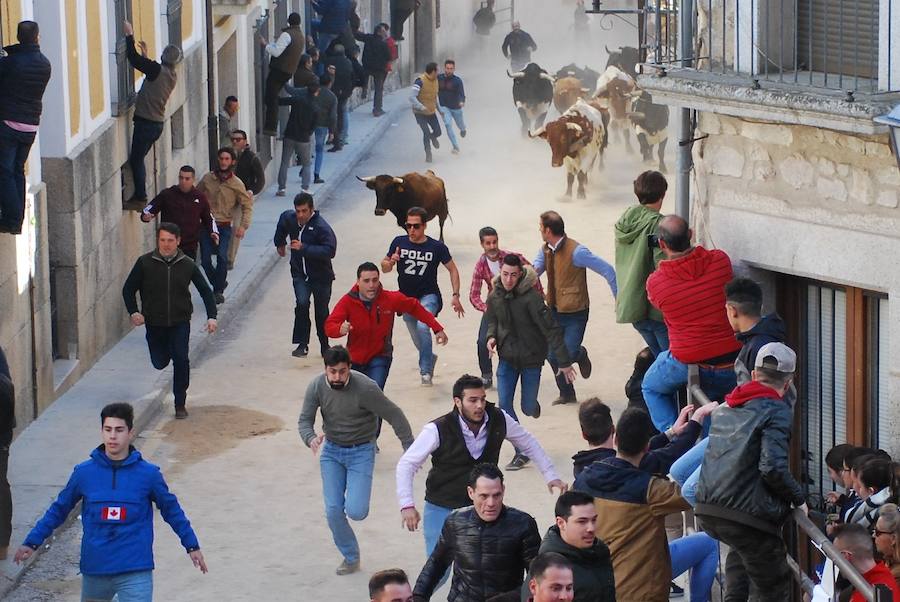 Se soltarán doce vacas y cuatro eralas en las tres capeas de carnaval