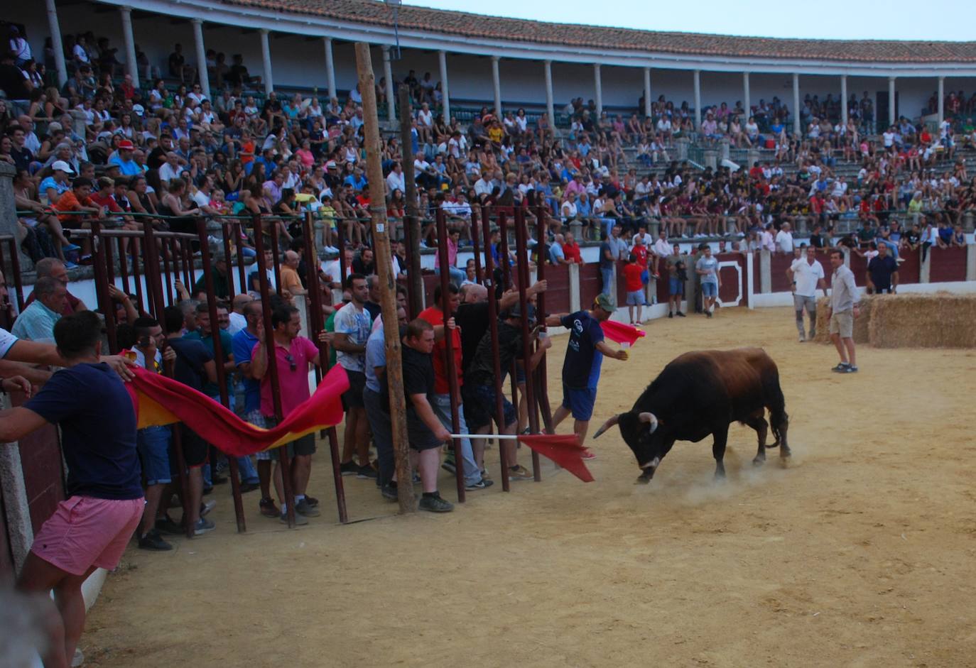 Los festejos taurinos de las fiestas patronales contarán con algunas novedades
