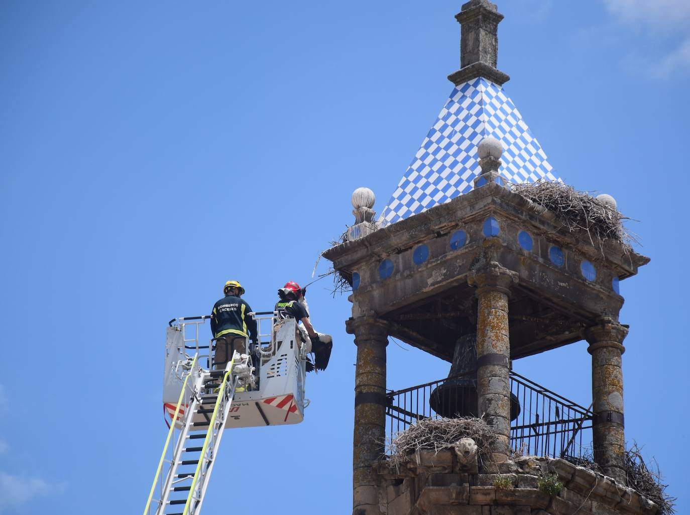 Bomberos de Cáceres descuelgan una cigüeña ya muerta situada en el campanario de San Martín