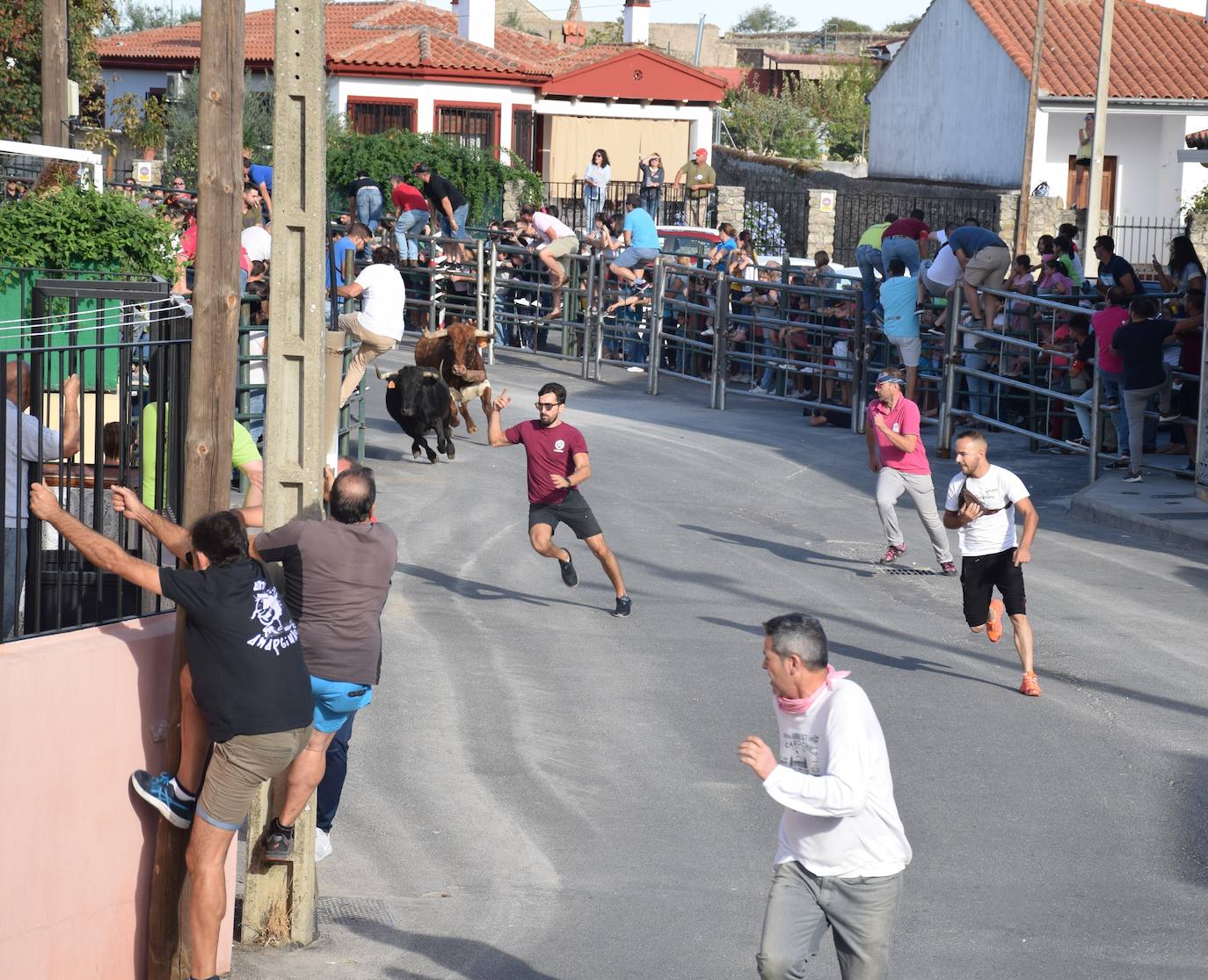 Huertas de Ánimas suspende sus fiestas patronales, previstas para octubre