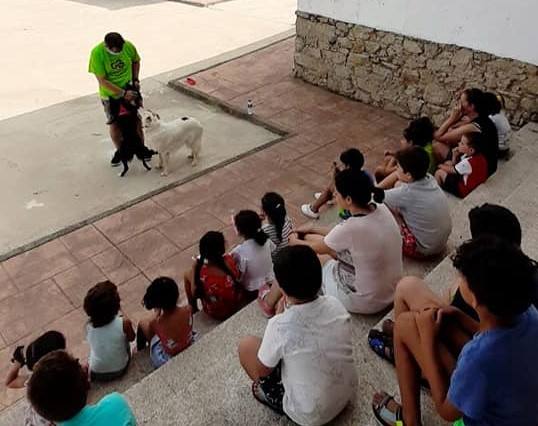 Satisfacción por el desarrollo de los campamentos urbanos en el albergue de Belén