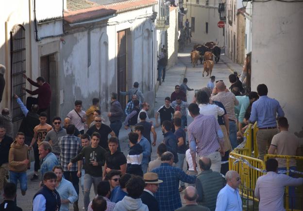 Los trabajos para las capeas de carnaval se retomarán a partir de septiembre
