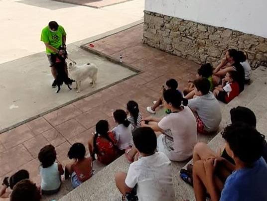 Los camapamentos urbanos finalizan con satisfacción por su desarrollo