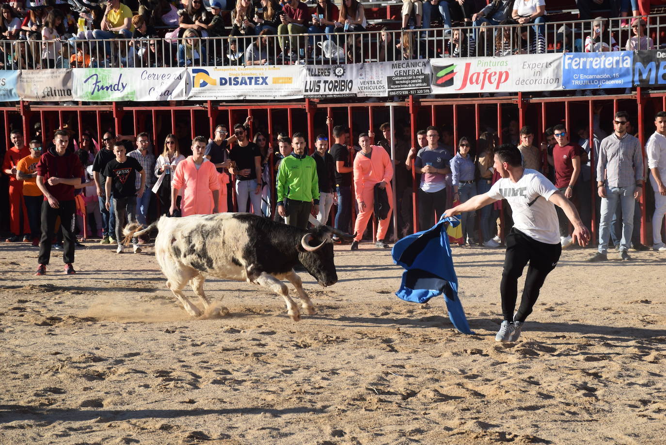Suspendidos los festejos taurinos con motivo de los carnavales