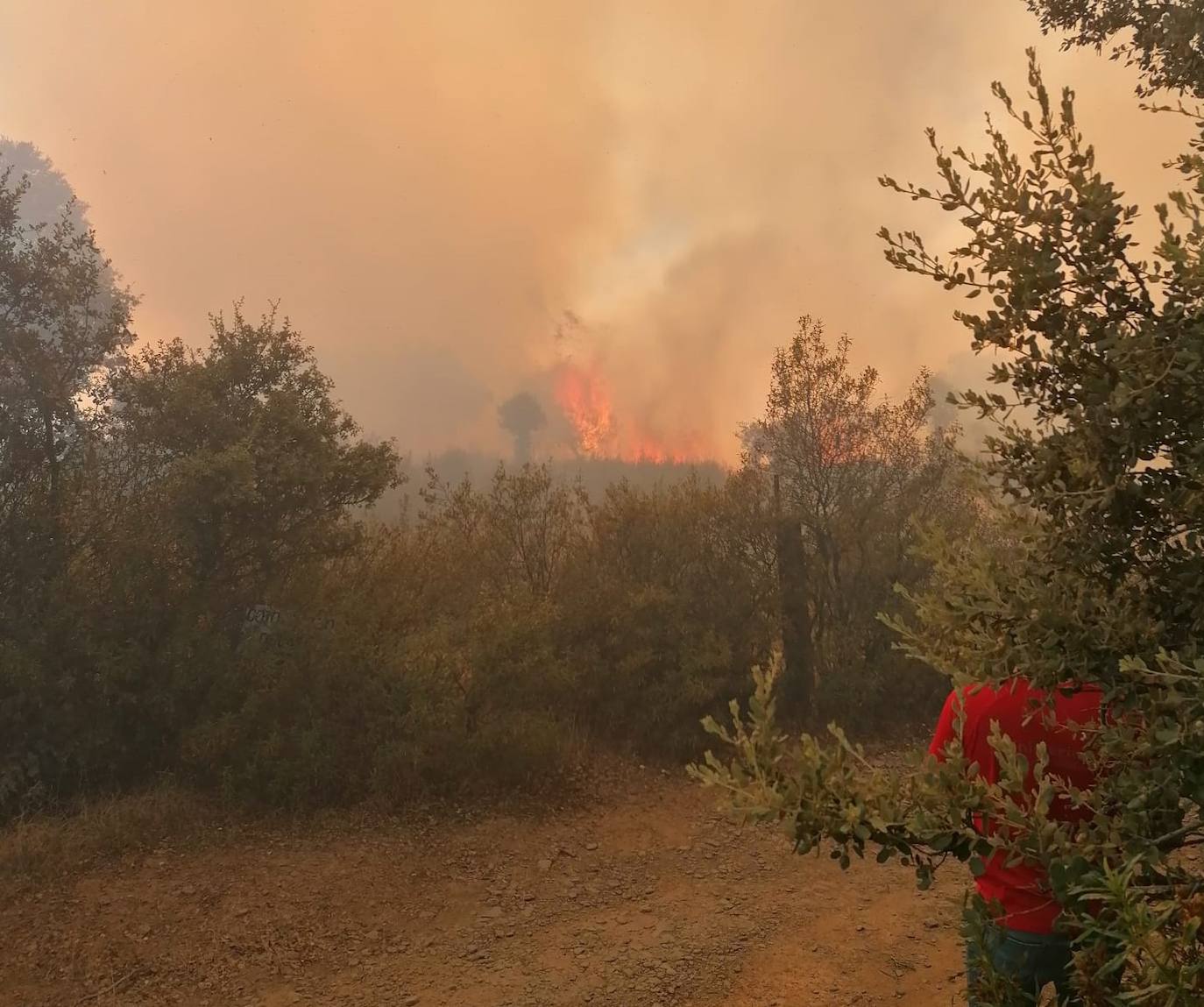 Incendio en la sierra de Madroñera