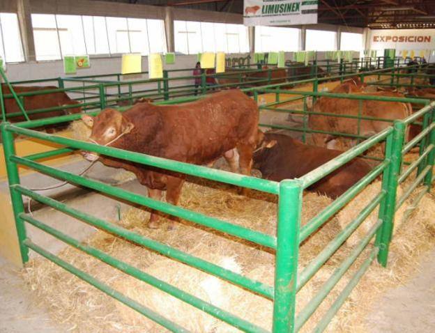 La Feria Agroganadera se hará con el mismo formato que siempre