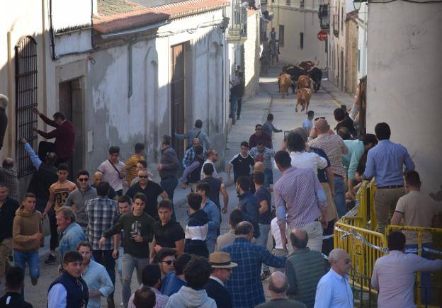 Los festejos taurinos con motivo del Carnaval, pendientes de la evolución de la covid